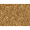 Load image into Gallery viewer, Fabric - 108&quot; Beautiful Backing, Tan by Maywood Studio
